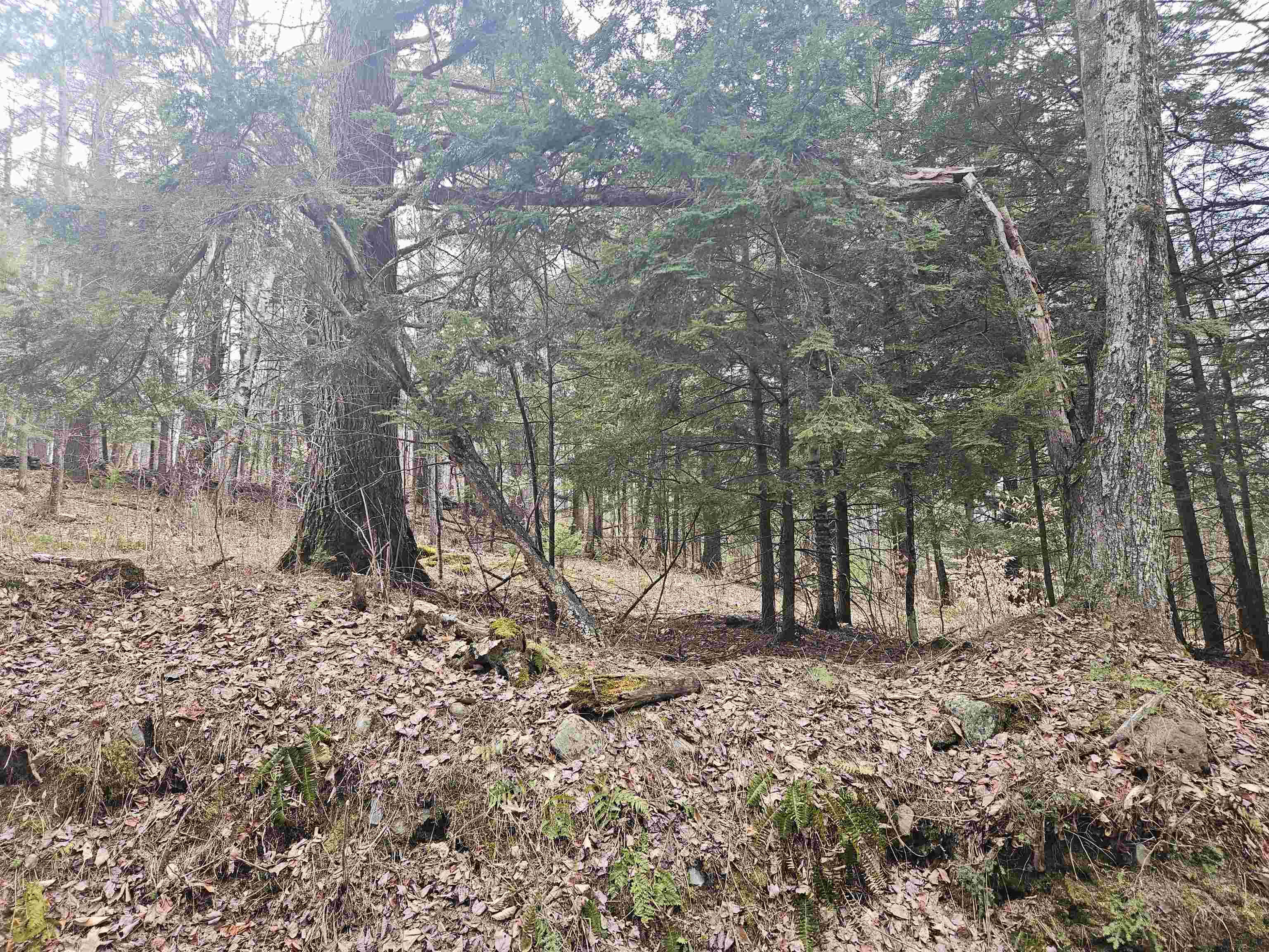 Property Photo: 47 Highbridge Road NH 03768