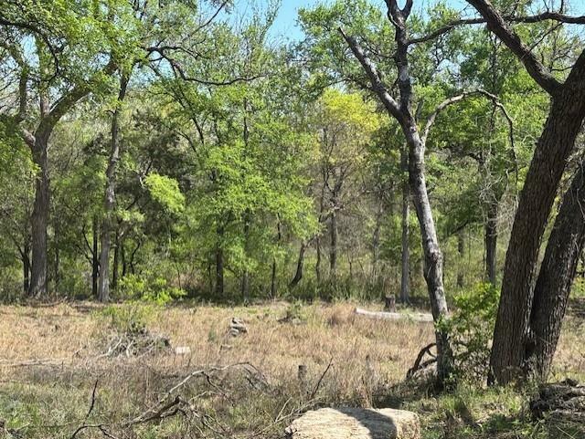 Photo de la propriété:  1255 Eagles Bluff Drive  TX 76087 
