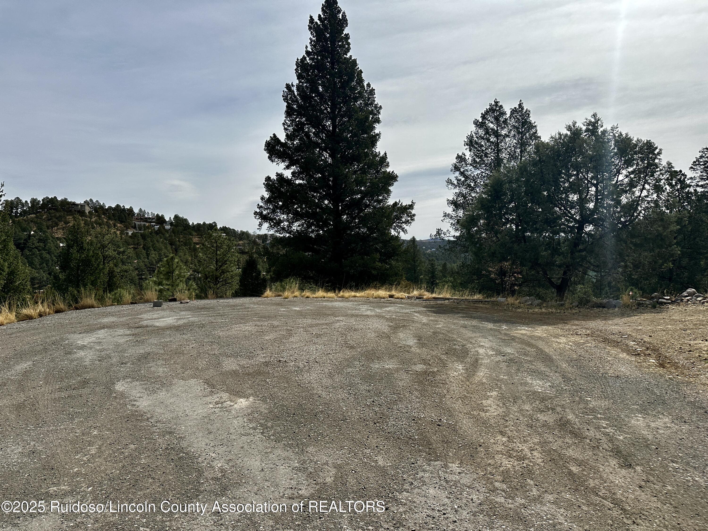 Property Photo:  110 Nopal Lane  NM 88345 