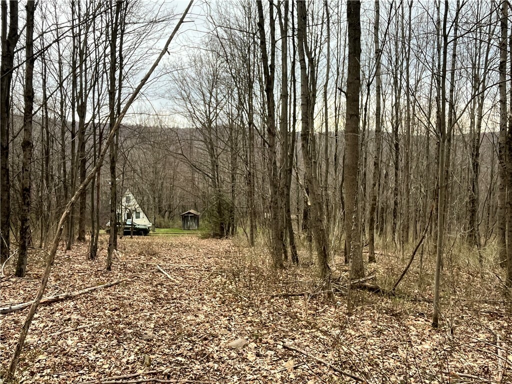 Property Photo:  0 State Highway 8  NY 13754 