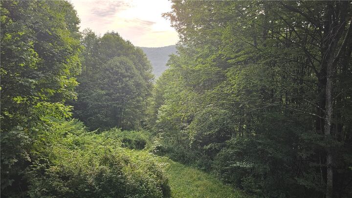 Property Photo:  0 State Highway 8  NY 13754 