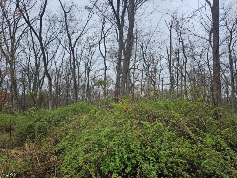 Property Photo: 9 Hilltop Rd NJ 08551