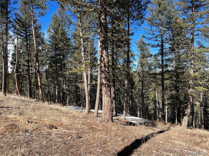 Property Photo:  7871 Gold Rush  CO 80465 