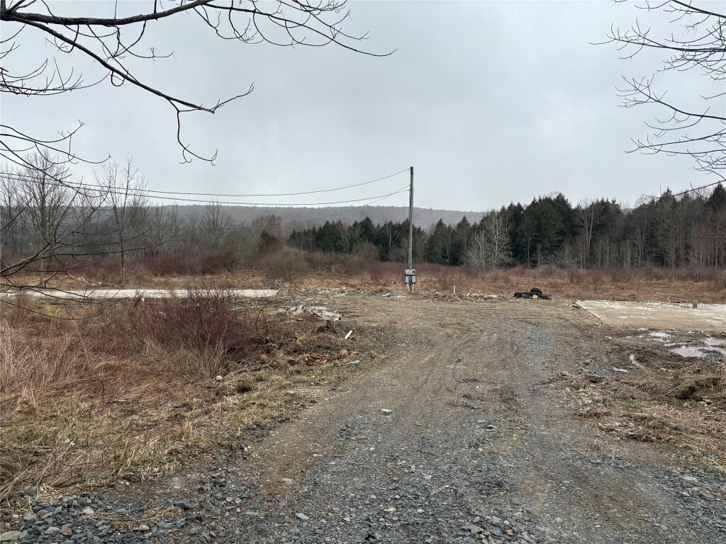 381 Eggleston Road  Whitney Point NY 13862 photo