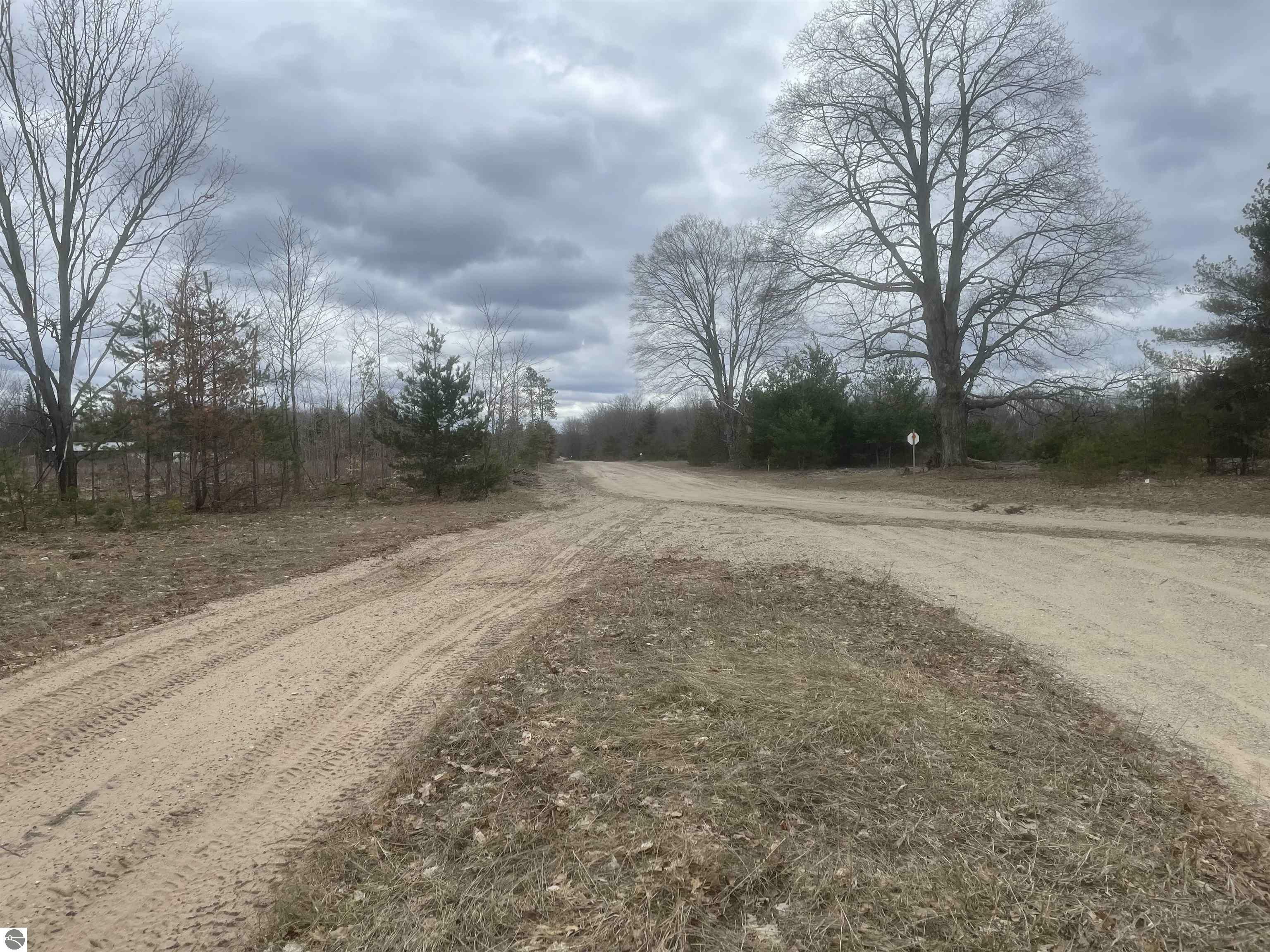 Carmean Road  Honor MI 49640 photo