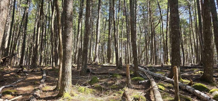 Lot 3 Beaver Row — photo 1