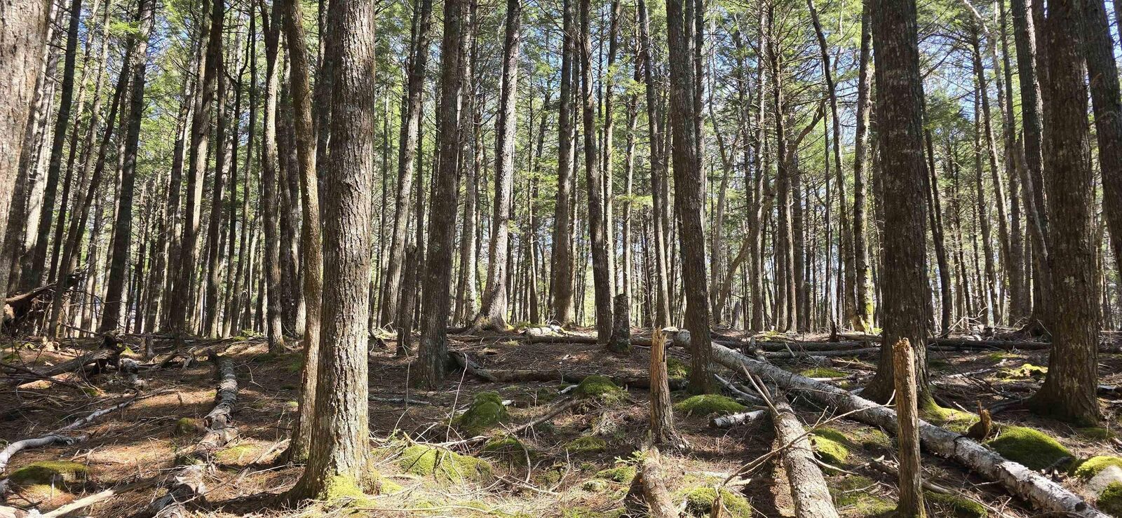 Property Photo:  Lot 3 Beaver Row  NS B0T 1E0 
