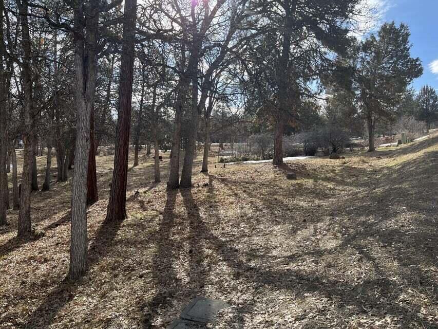 Property Photo:  Lot 918 Redstart  OR 97601 