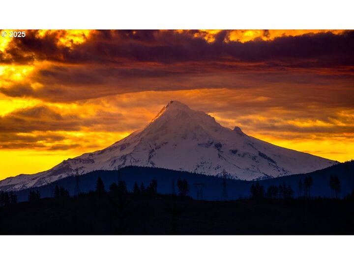 Property Photo:  7552 NE Lessard Rd  WA 98607 