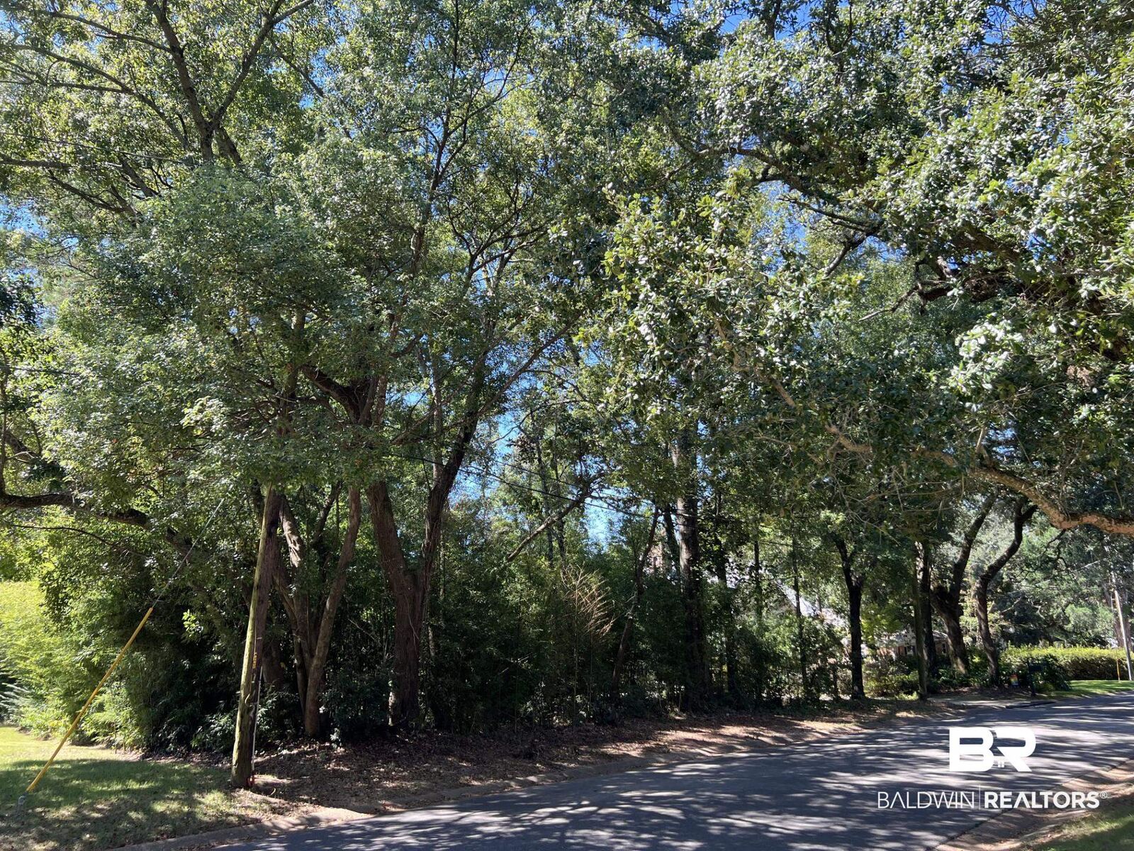 Property Photo: 0 Pier Avenue AL 36532