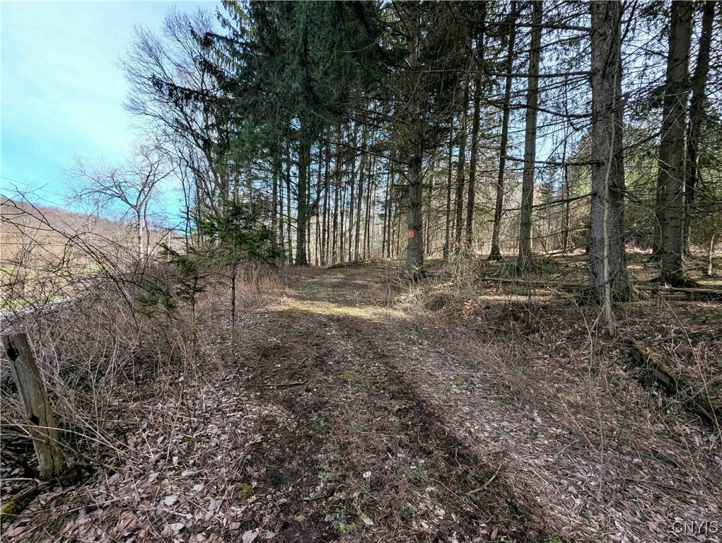 Property Photo: Ryan Hollow Road NY 14826