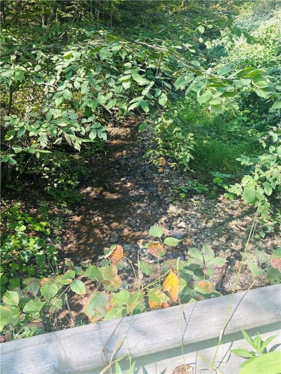 Property Photo:  Morris Hill Road  NY 14864