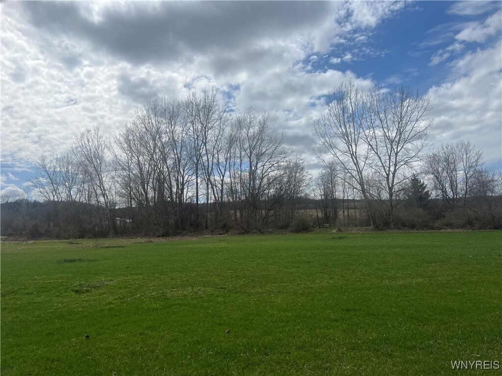 Property Photo: 0 Rt-98 NY 14065