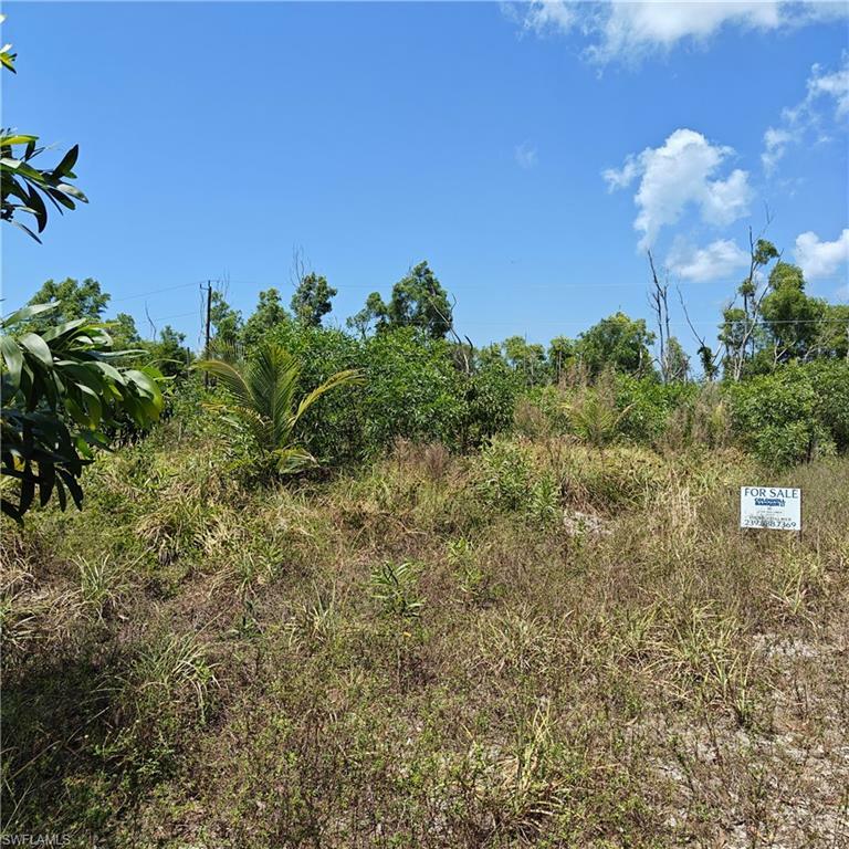 Property Photo:  13941 Silverton Ln  FL 33922 