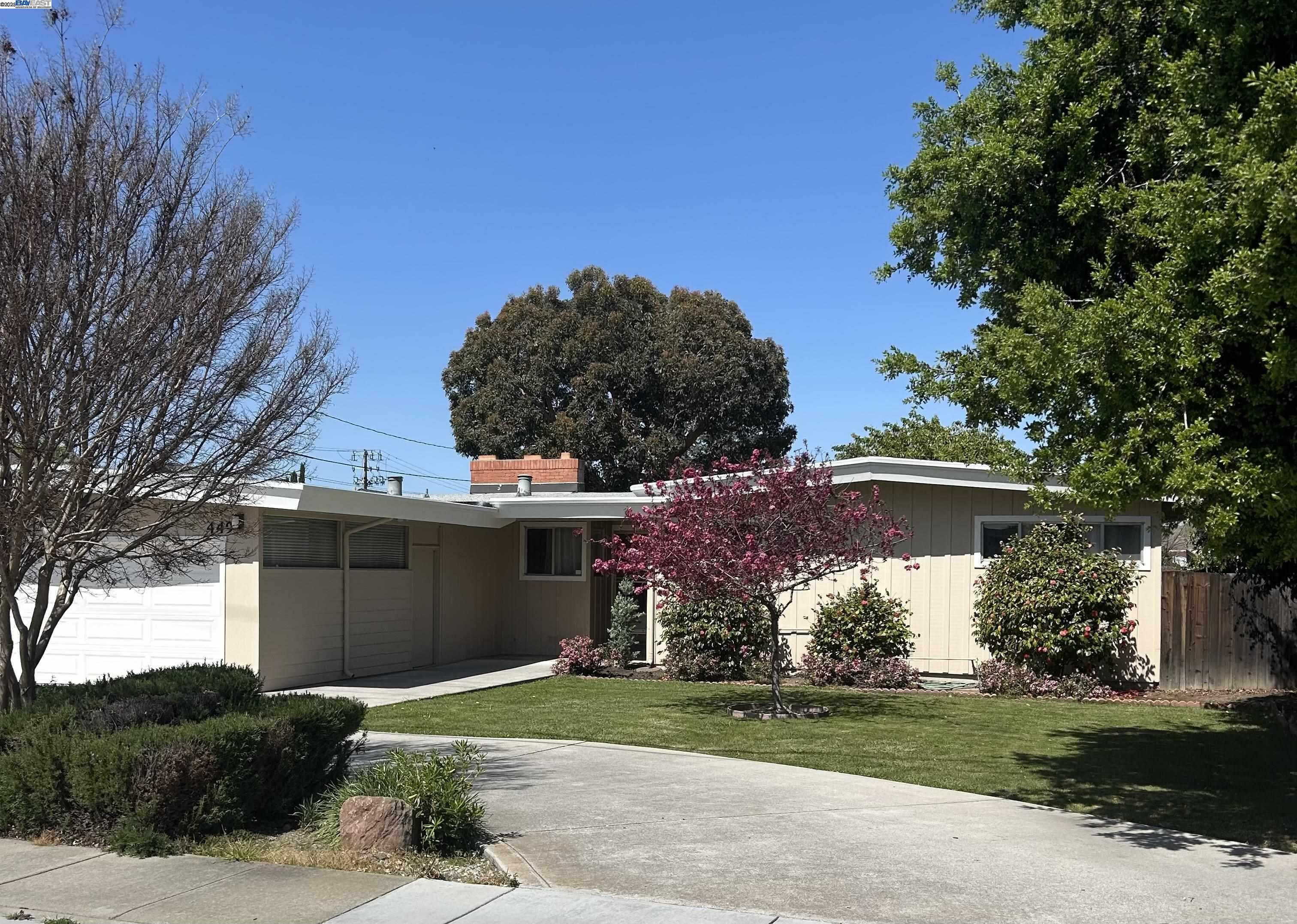 Property Photo: 449 Walnut Ave CA 94536