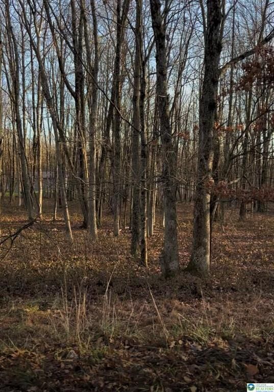 Property Photo: 940 Oldstage Road PA 18210