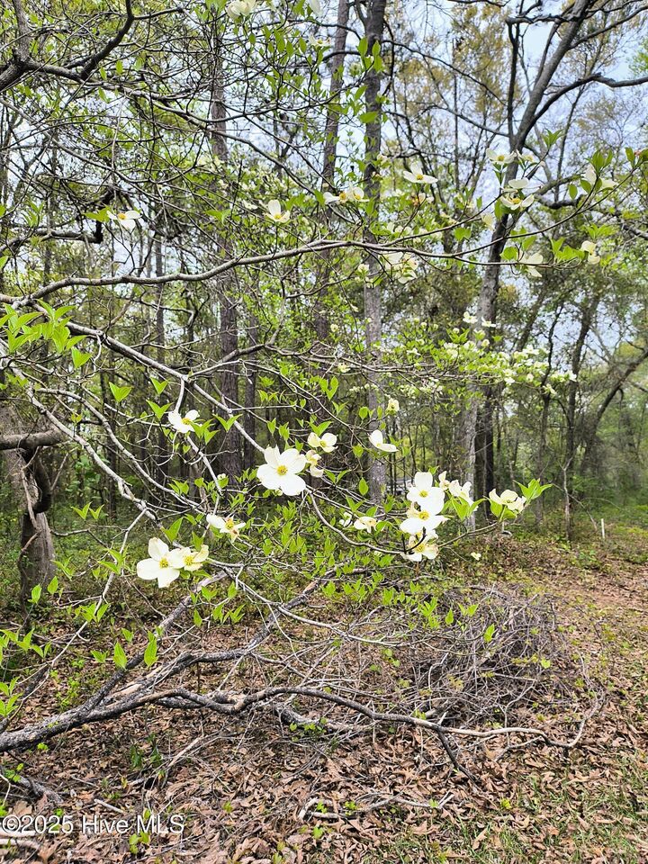 Property Photo:  786 50 Pondview Drive SE  NC 28422 