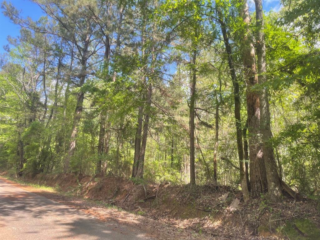 Property Photo: 0 Jones Road LA 71019