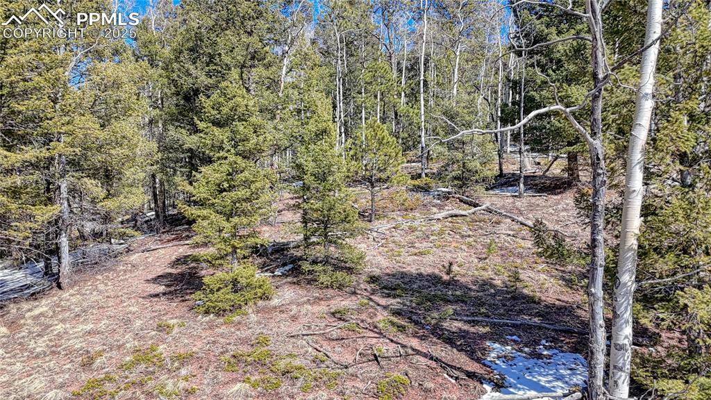 Property Photo: 542 Vivenda Road CO 80813