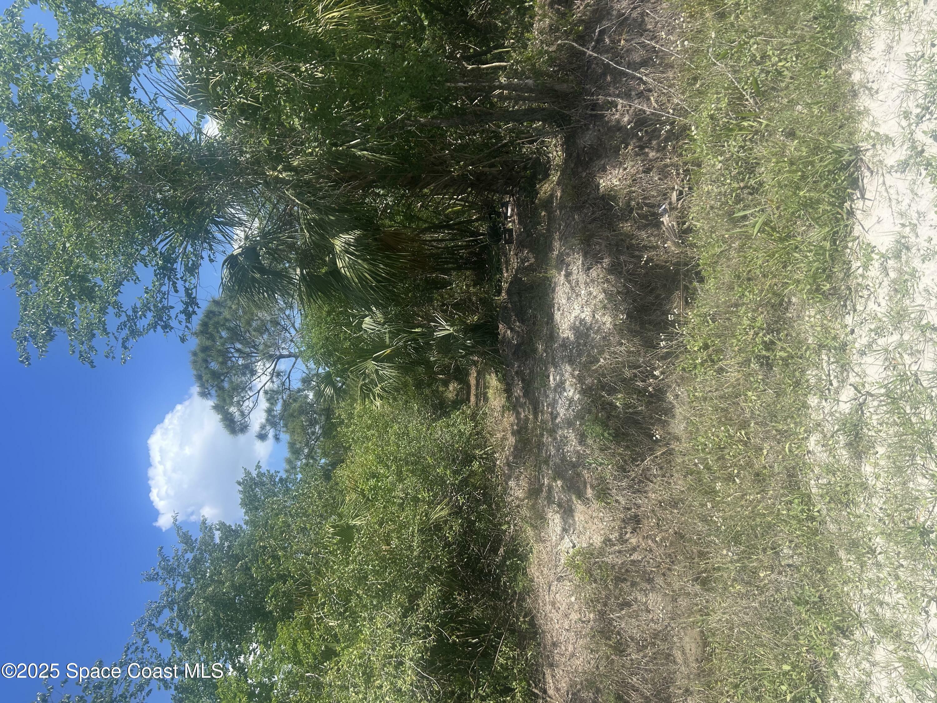 Property Photo:  2801 Satellite Boulevard  FL 32926 