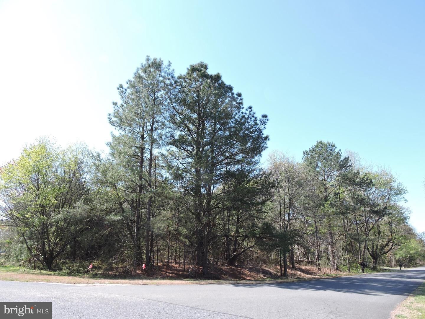 Property Photo:  55 Tidewater Drive  DE 19973 