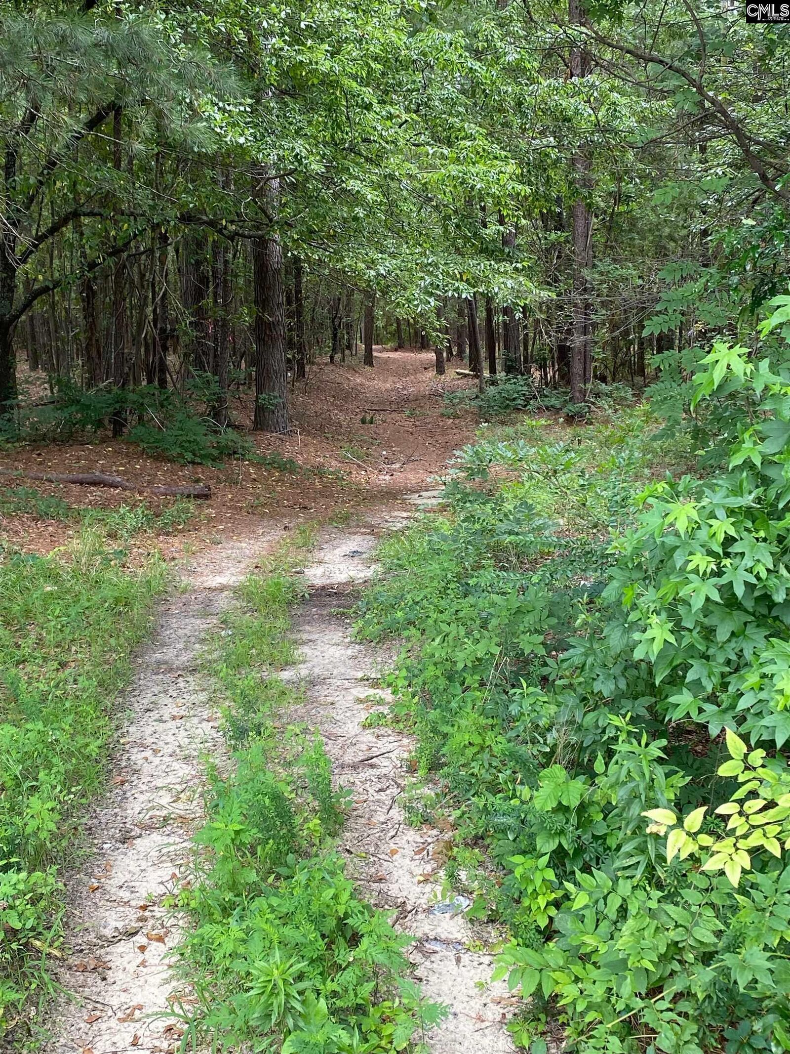 Property Photo:  0 Bachman  SC 29053 