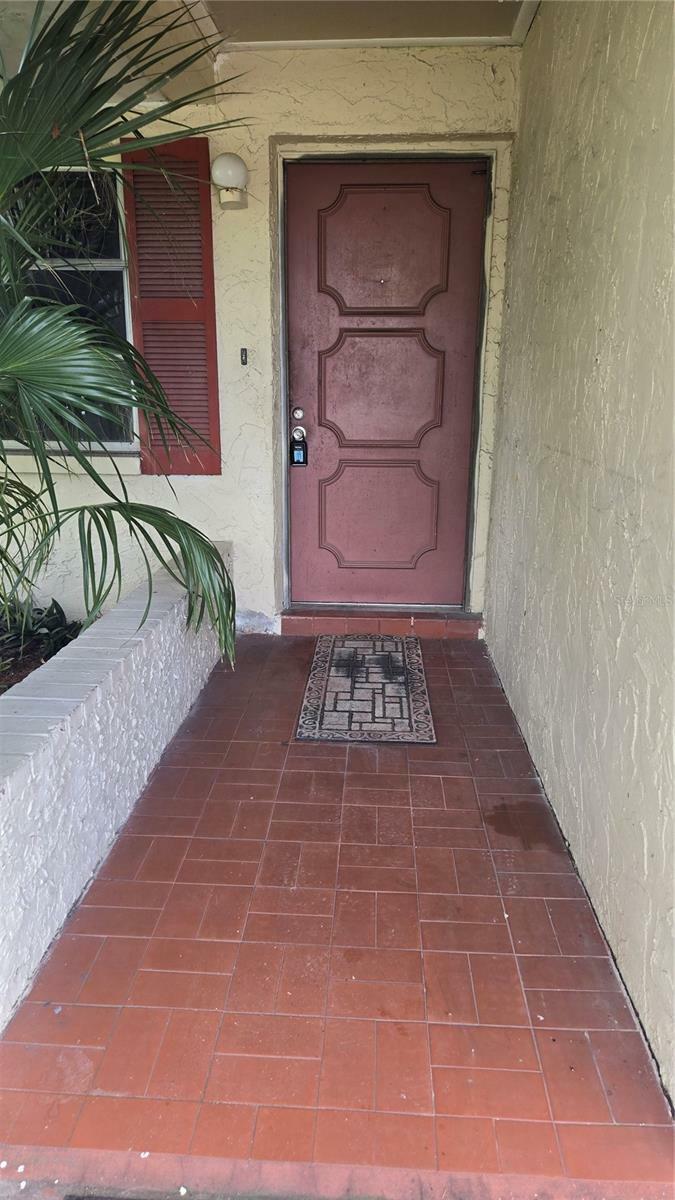 Property Photo: 704 Lemonwood Drive FL 34677