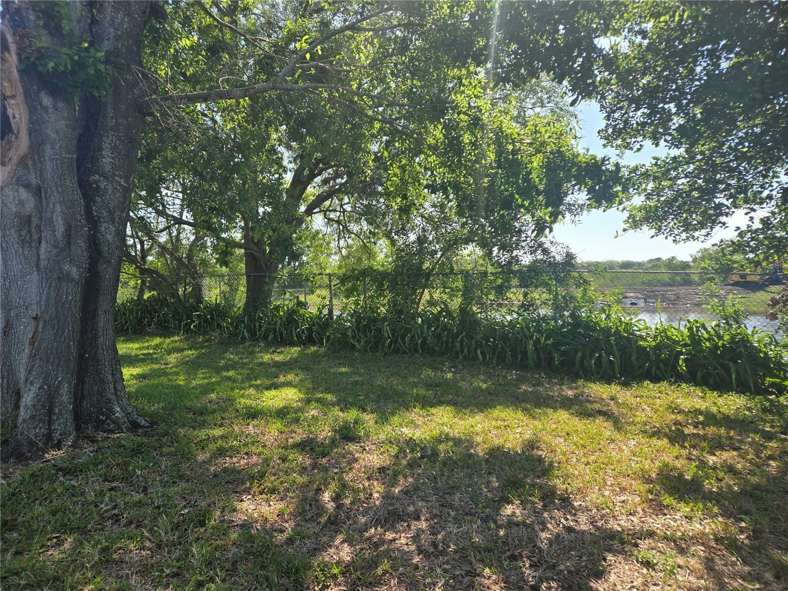 Property Photo: 704 Lemonwood Drive FL 34677