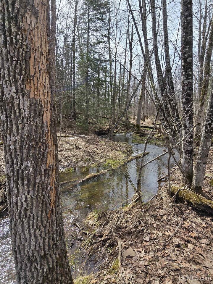 Property Photo:  Tbd Woodspur Road  MI 49953 