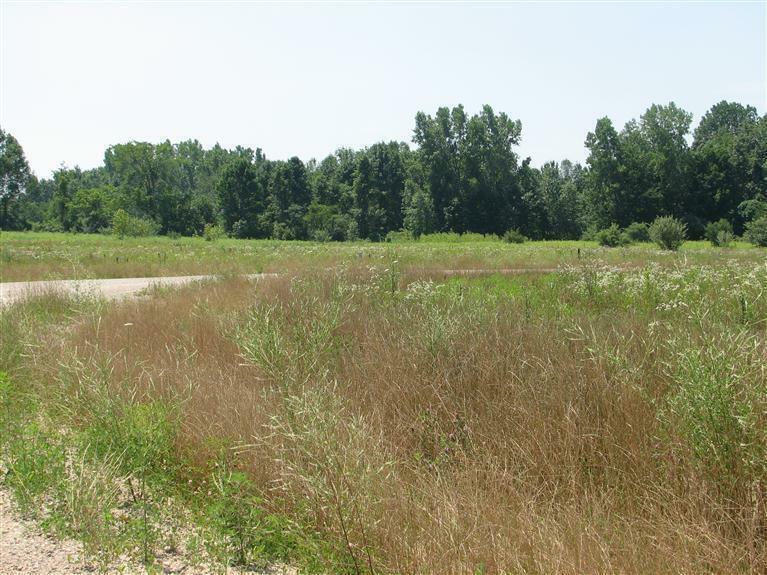 Property Photo:  Jane Way  MI 49125 