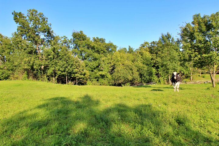 Property Photo:  27 Faywood Road  VT 05458 