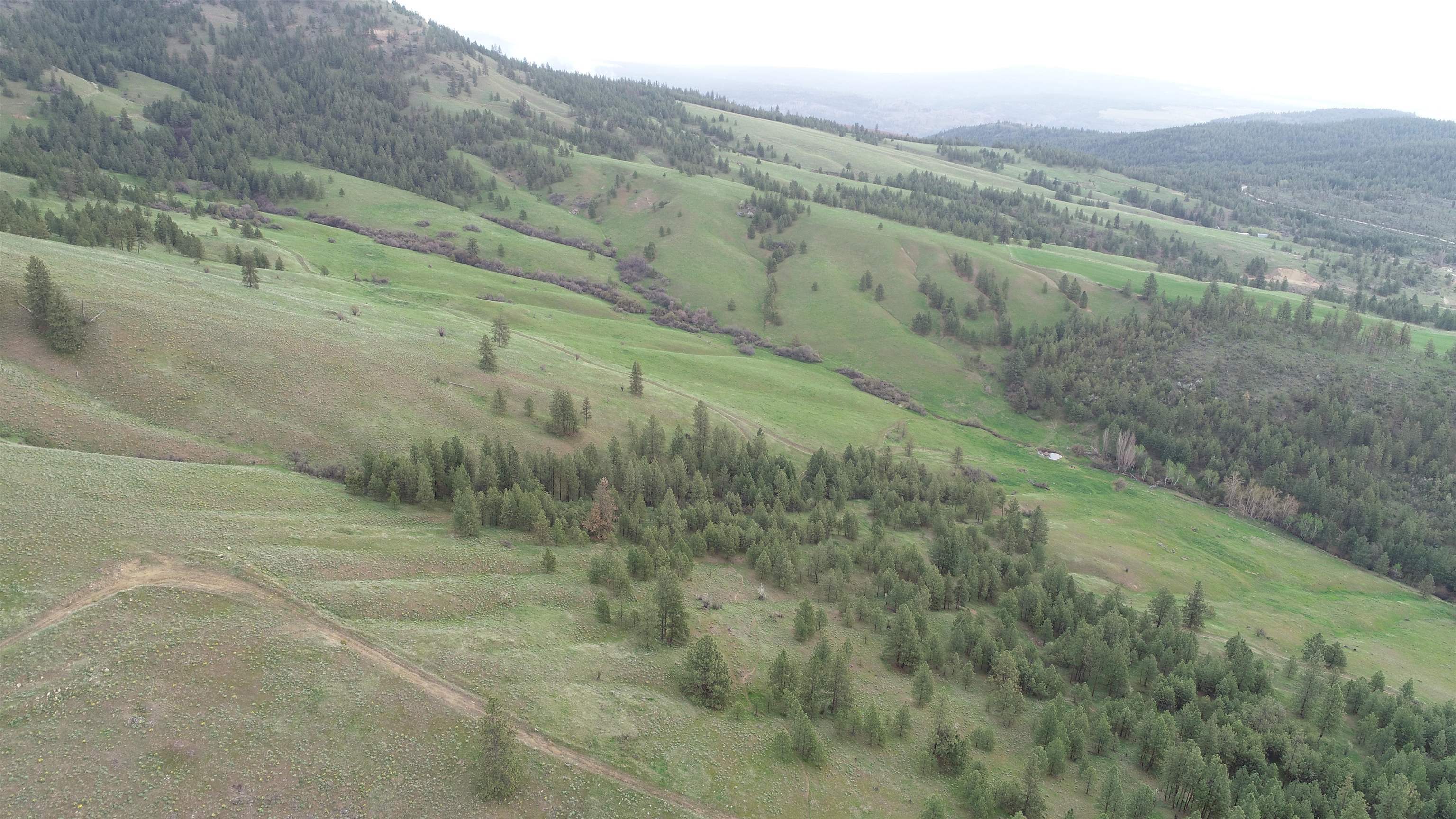 Property Photo: Xxx Egypt Loop Rd. E. Sunset Mountain Ridge WA 99122