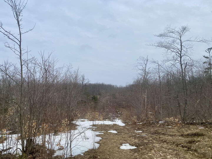 Property Photo: 7.6 Acres Trails End MI 49735