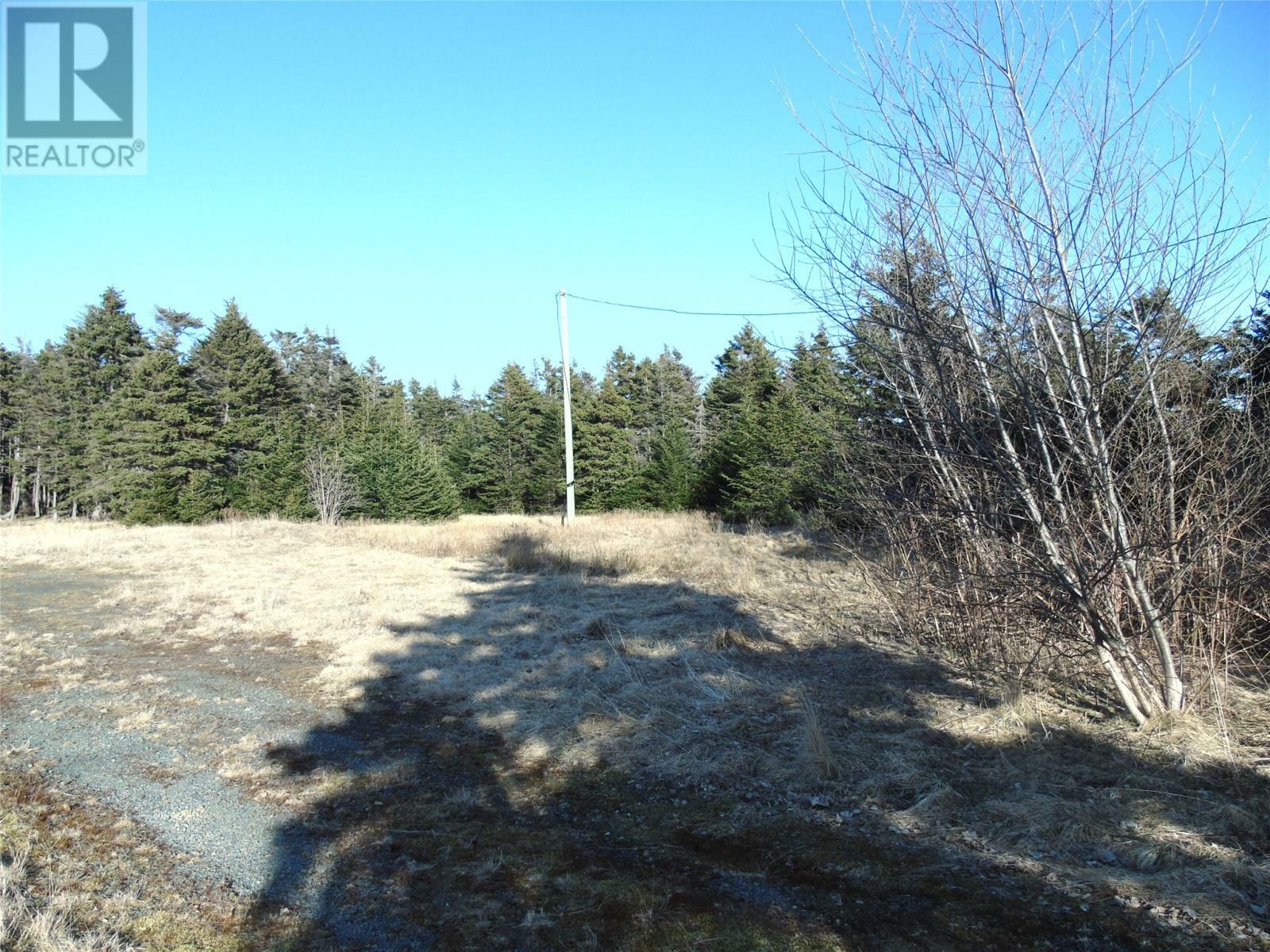 Property Photo:  19 Dobbin'S Road  NL A0A 4H0 