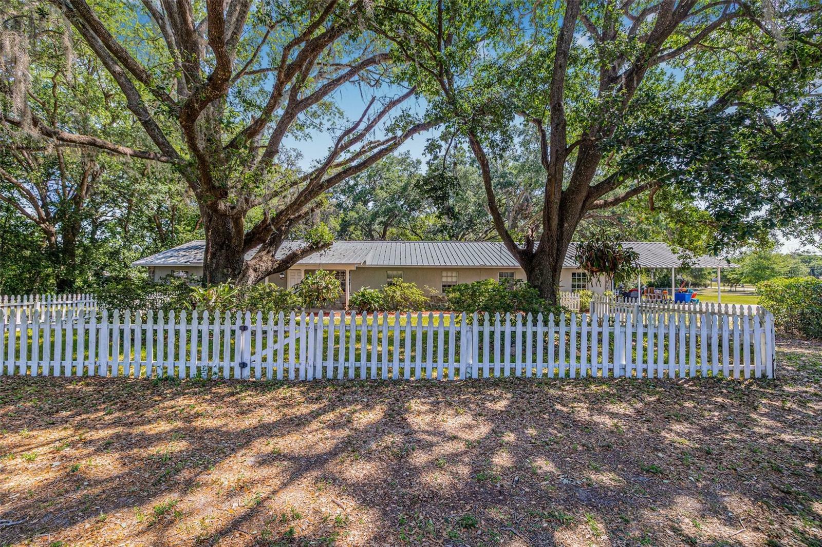 Property Photo: 34651 Appaloosa Trail FL 33541