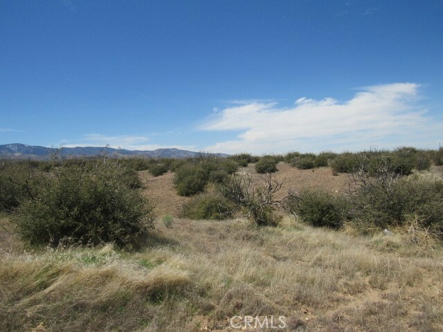 Property Photo: 0 Buttemere Road CA 92371