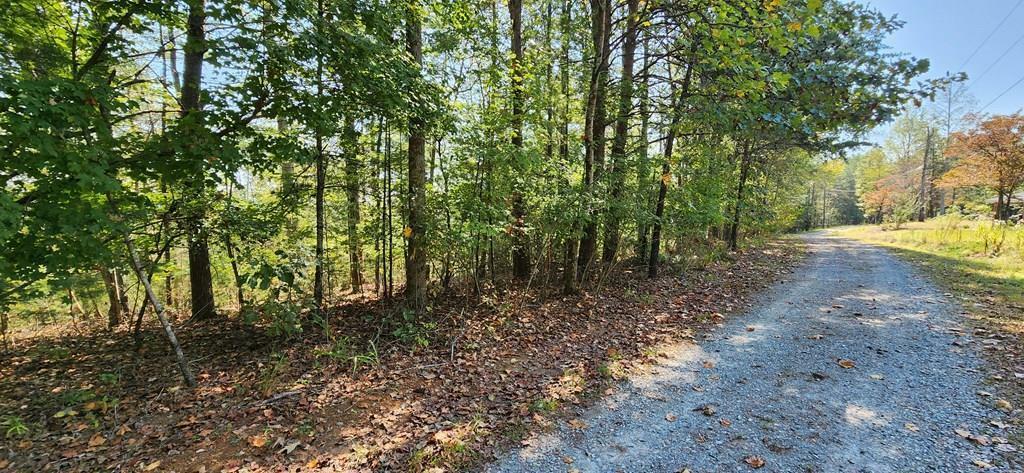 Property Photo: Lot 1699 Shade Tree Drive GA 30175