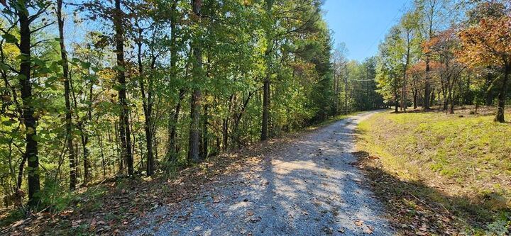 Lot 1699 Shade Tree Drive  Talking Rock GA 30175 photo