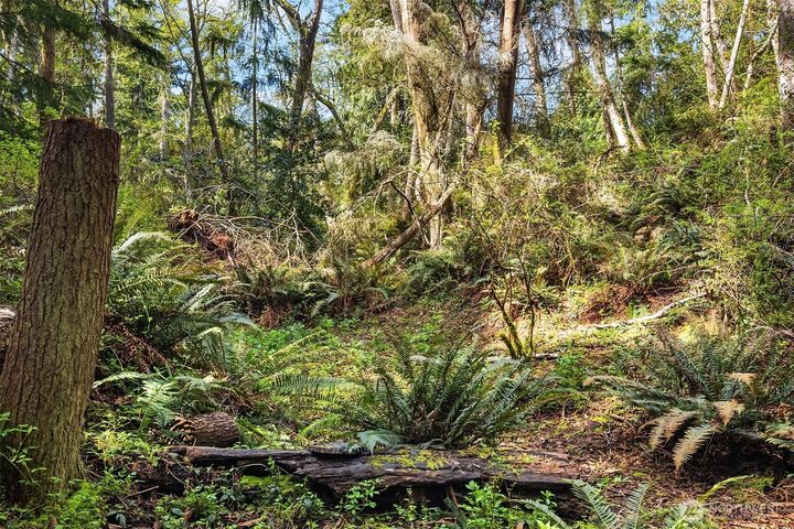 Property Photo: 8042 Island Court WA 98236