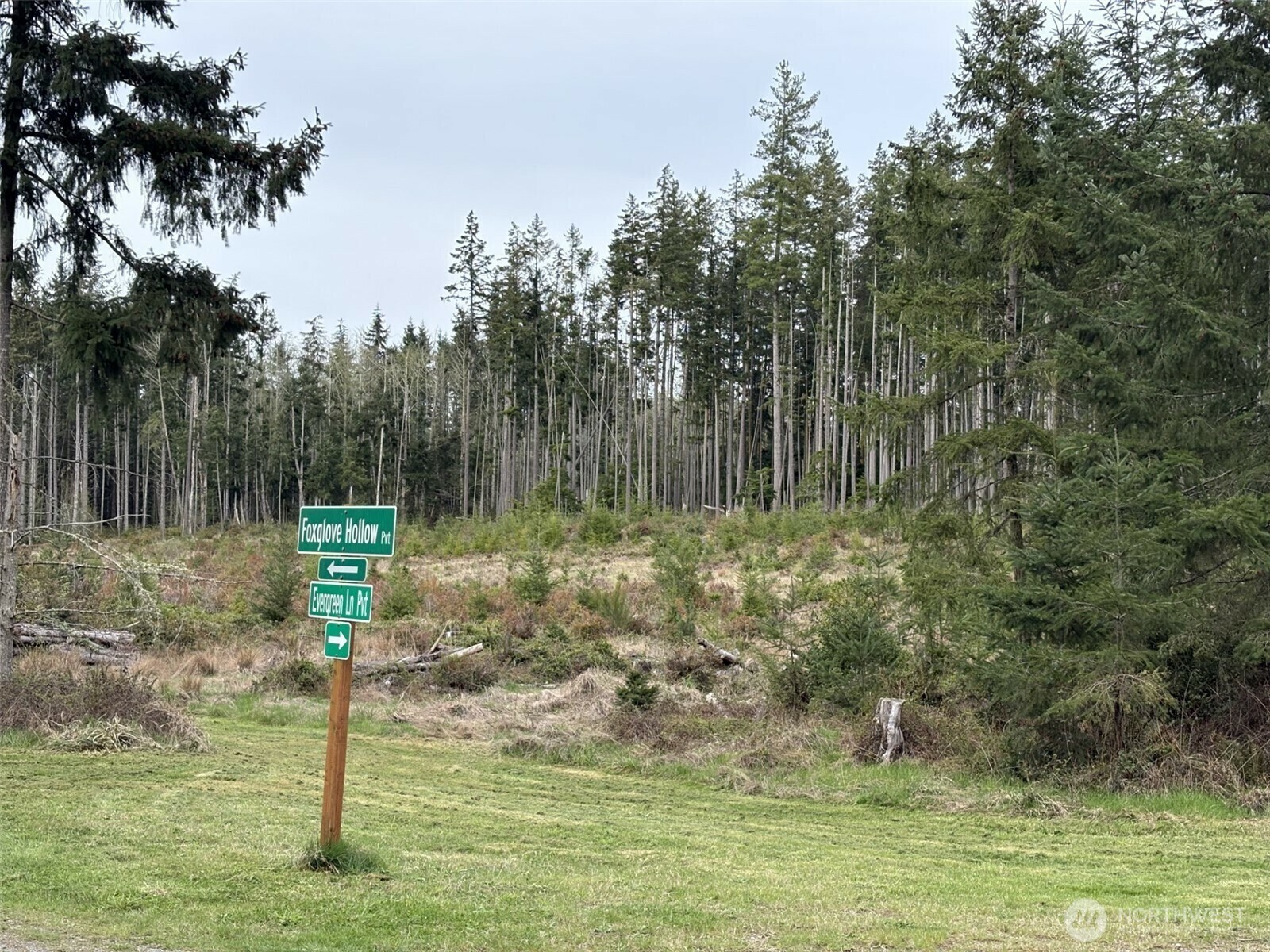 Property Photo: 0 Foxglove Hollow WA 98249