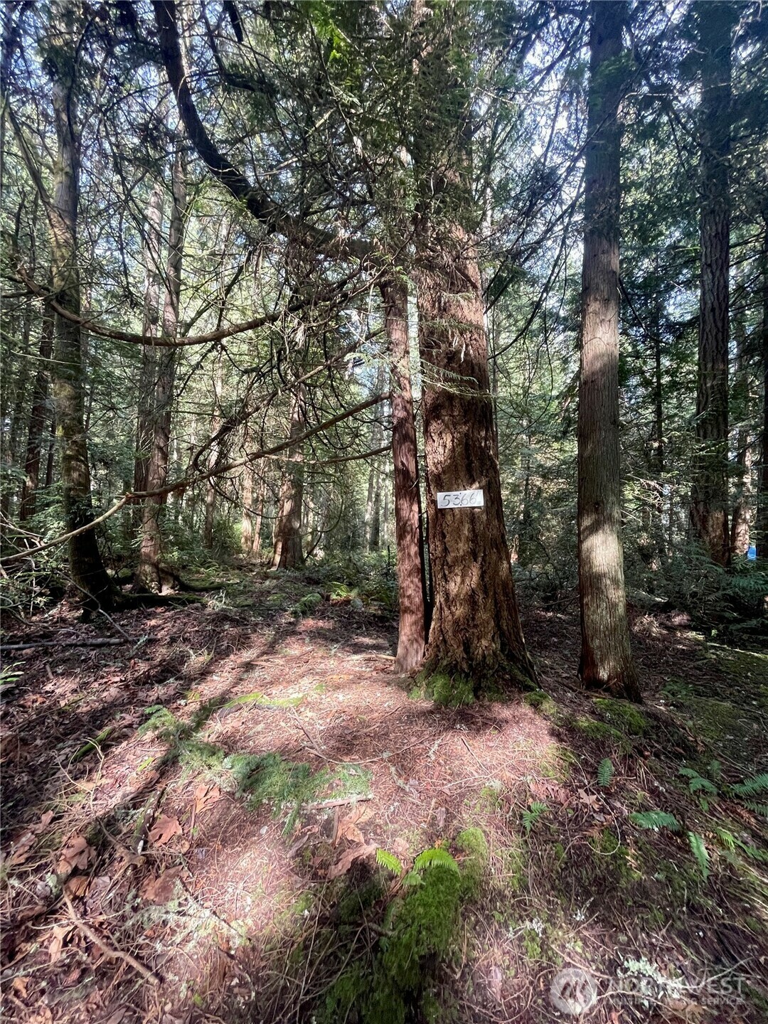Property Photo: 5366 NE Old Mill Road WA 98110