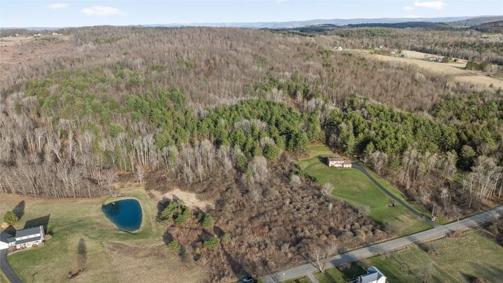 0 Foster Valley Road  Owego NY 13827 photo