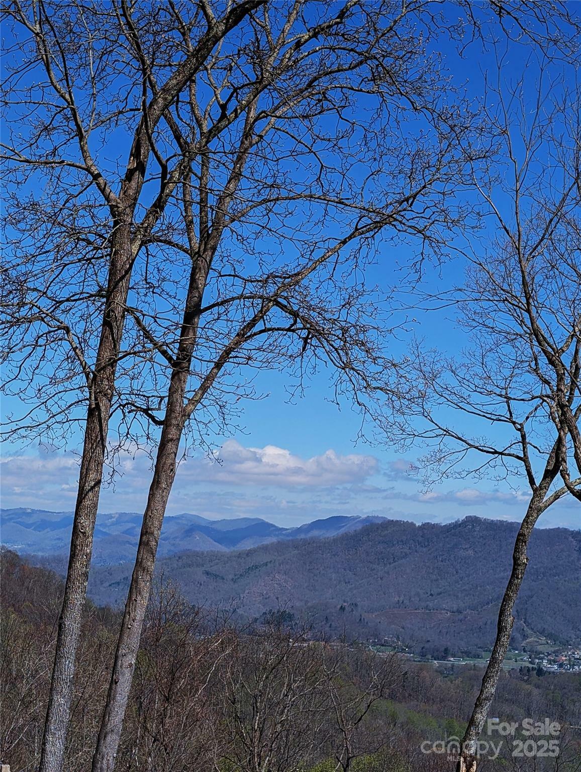 Property Photo: 40 Dorchester Road NC 28785