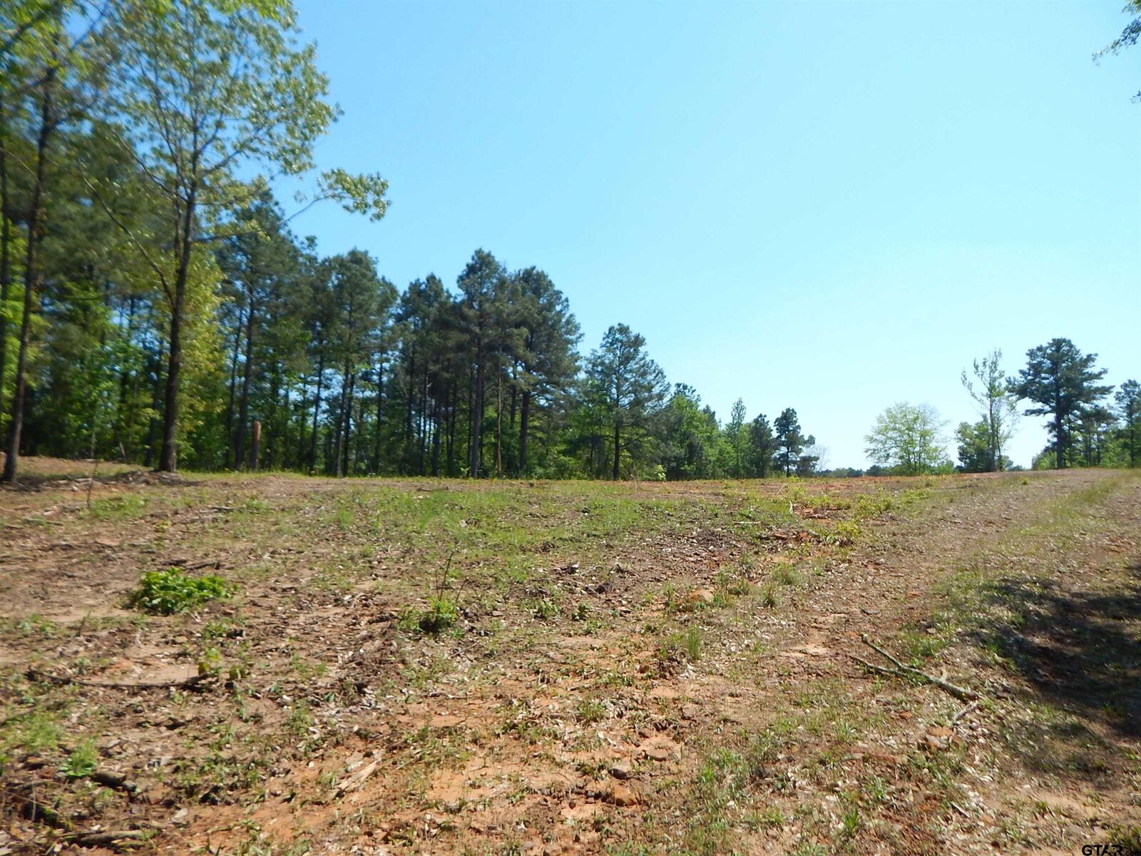 Property Photo:  Tbd 15 Acres Fm 1795 Side 1  TX 75755 