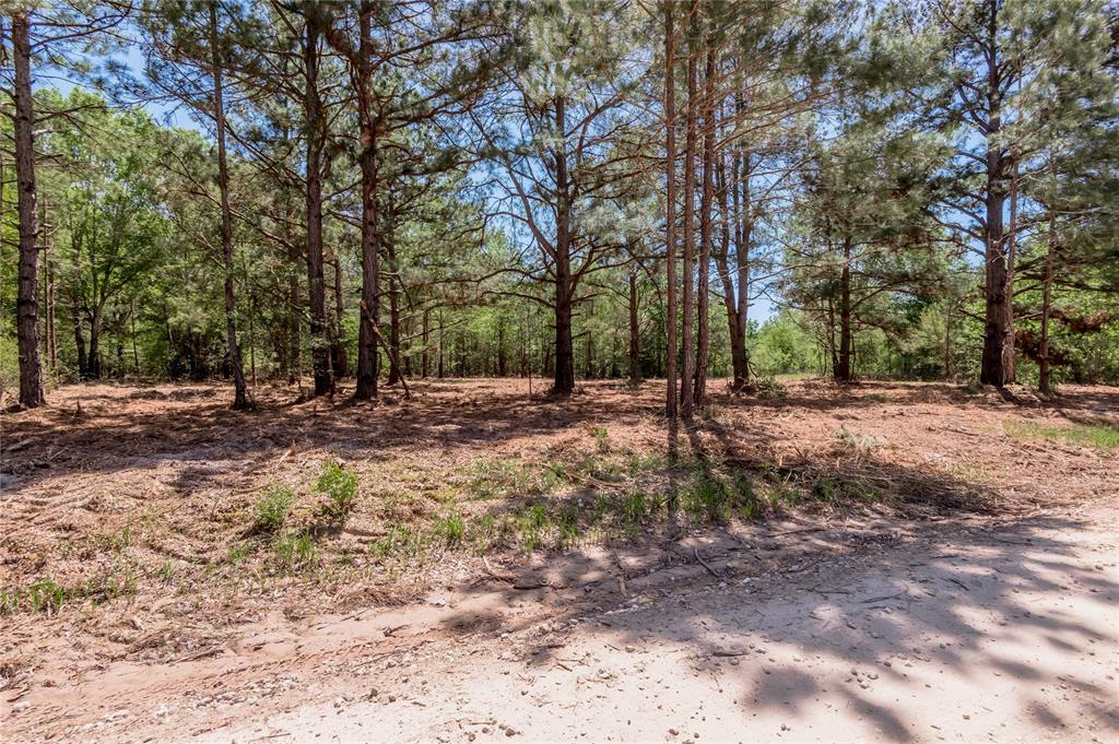Property Photo: 6077 Tract 3 Cr 4200 TX 75856