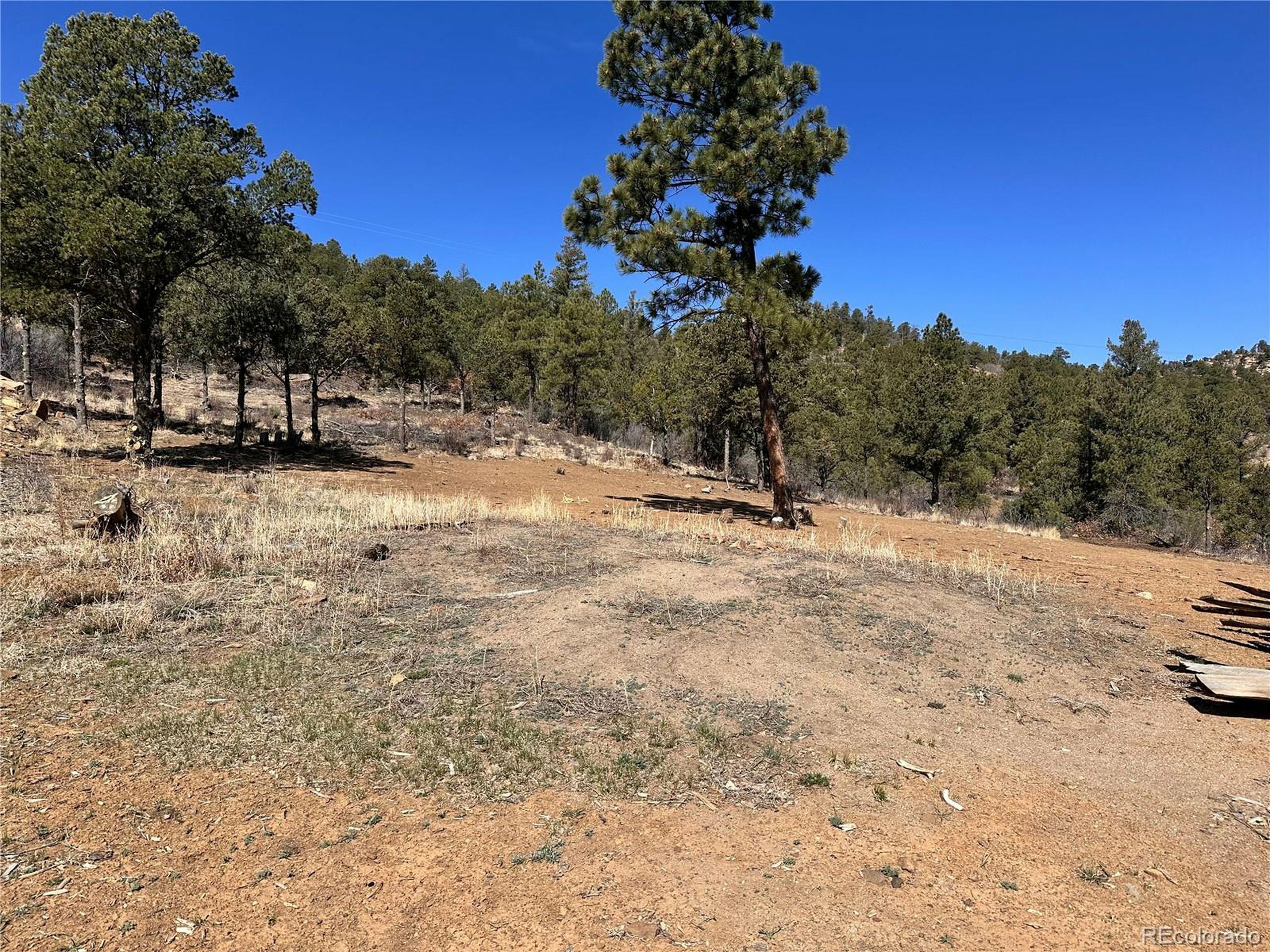 0 Big Pine Ridge  Weston CO 81091 photo