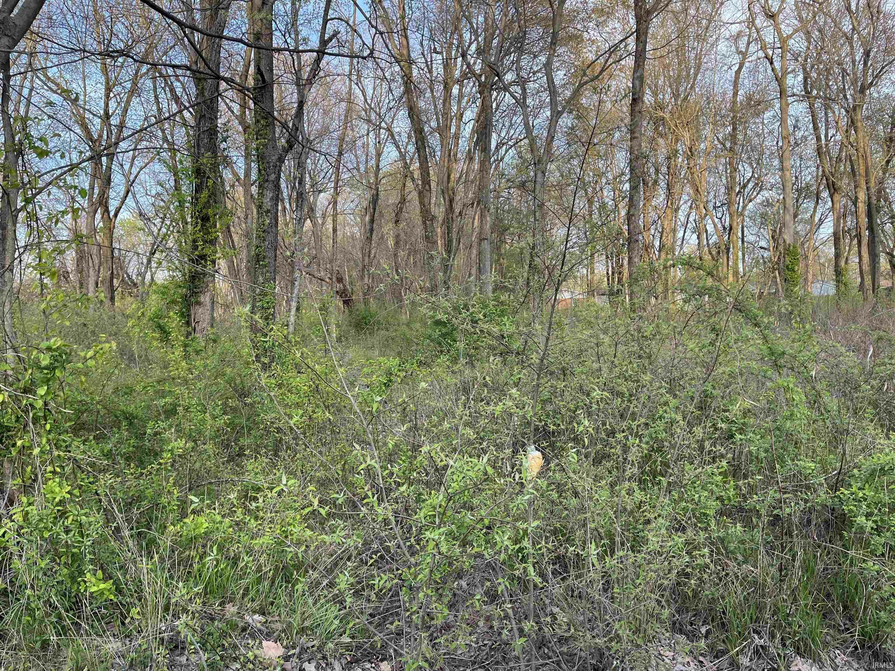 Property Photo:  1746 Burdette Avenue  IN 47714 