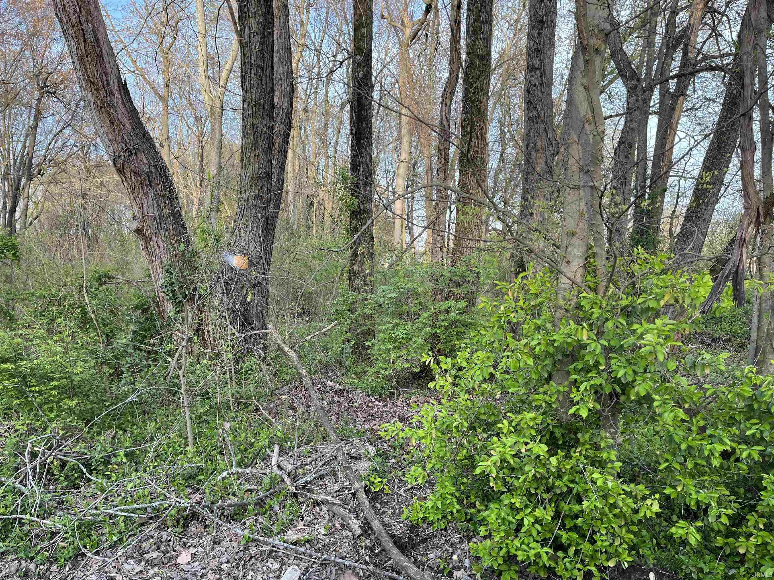 Property Photo:  1764 Burdette Avenue  IN 47714 