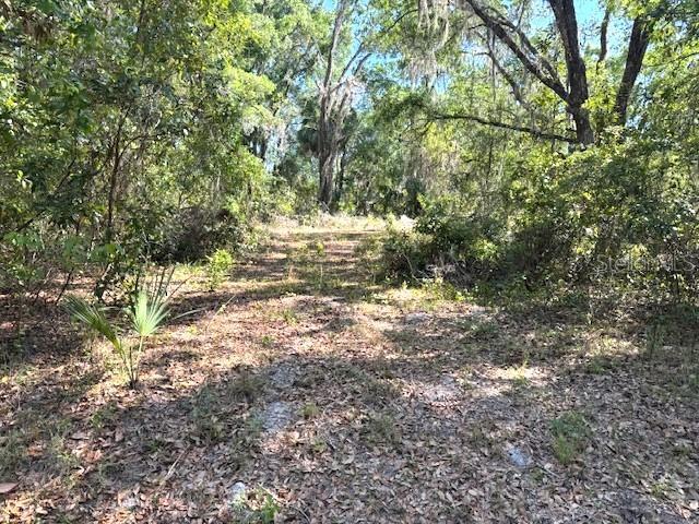 Property Photo: 4140 S Kenvera Loop FL 34450