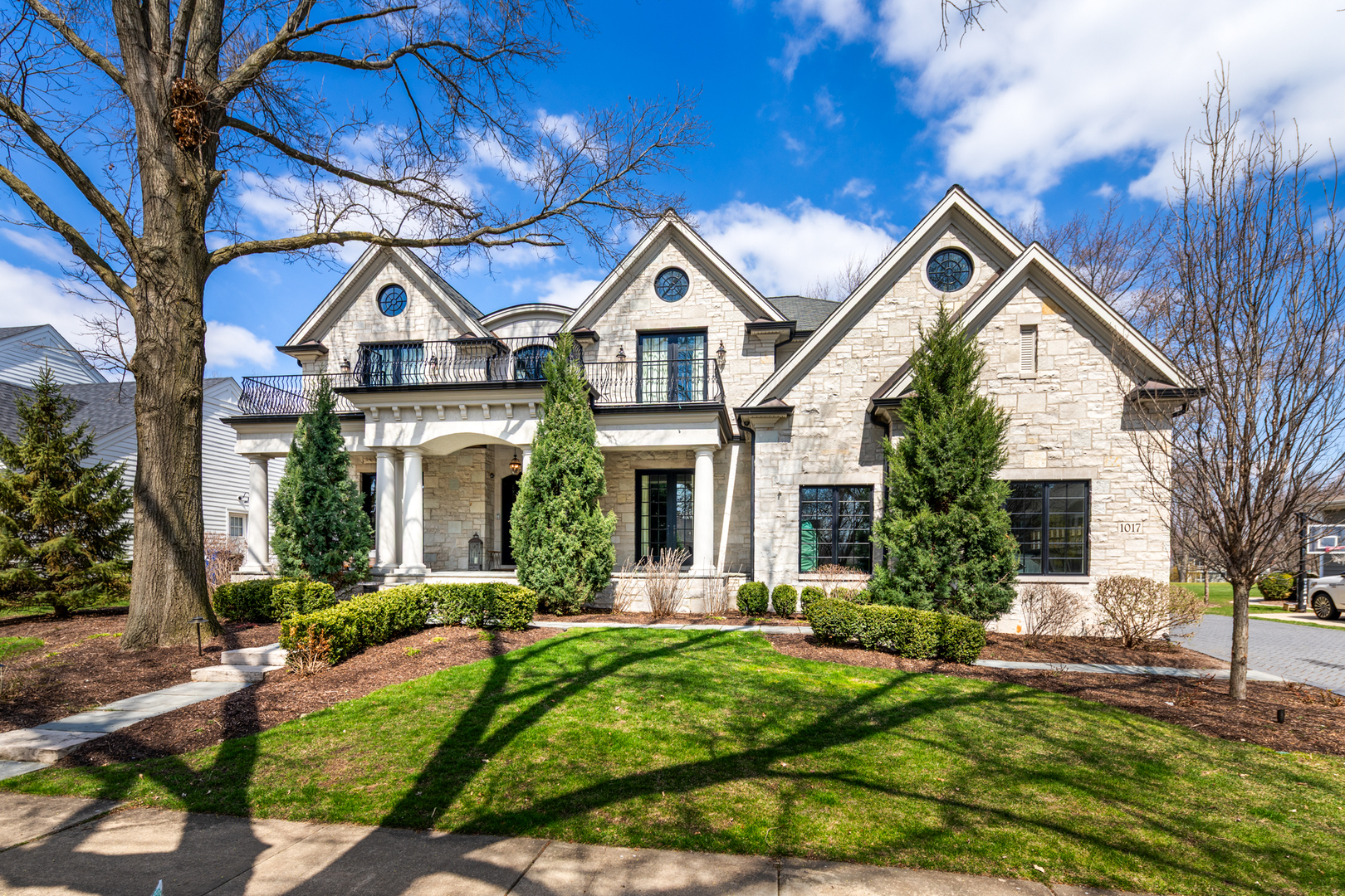 1017 Royal Bombay Court  Naperville IL 60563 photo